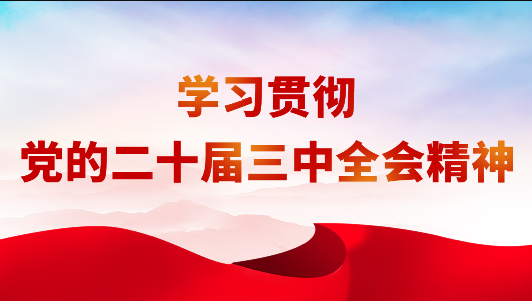 学习贯彻党的二十大三中全会精神